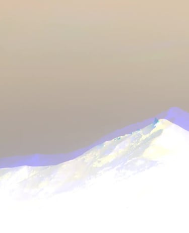 digital art, visual art, conceptual art, Joanna Wlaszyn