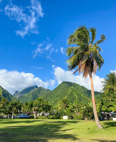 Vue sur la montagne verte et un palmier à Teahupoo à Tahiti