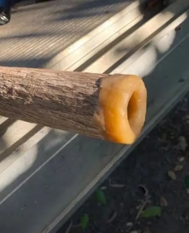 Image sent to RaD didgeridoos of a didgeridoo made by Joe Williams
