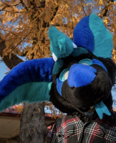 Blue and black dutch ange dragon fursuit madt by Teto Creations 