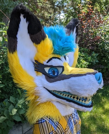 A yellow coyote fursuit featuring a full jaw set of silicone teeth and big ears as well as glow in the dark parts From Teto