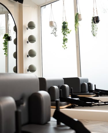 reform pilates with mirrors and plants