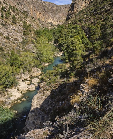 The Segura River as it passes through the Almadenes canyon, between Calasparra and Cieza.