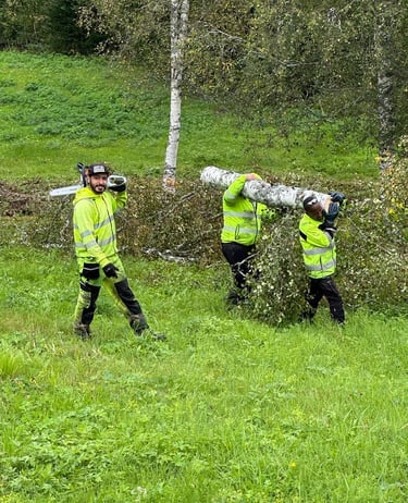 Gräsklippning i Kramfors. ,Trädgård Härnösand,. trädfällning Örnsköldsvik, Rent i Höga Kusten