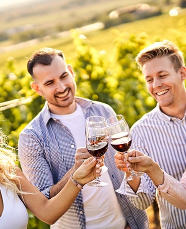 Friends drinking wine in vineyard