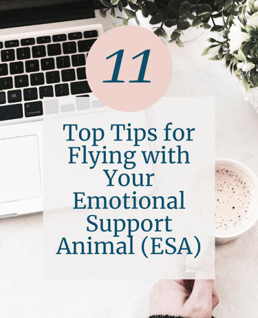 Tips for flying with emotional support animal