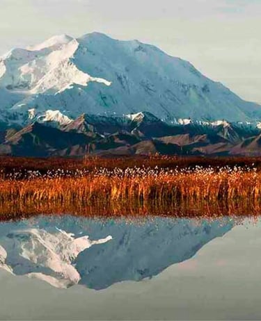 Denali National Park & Preserve Alaska