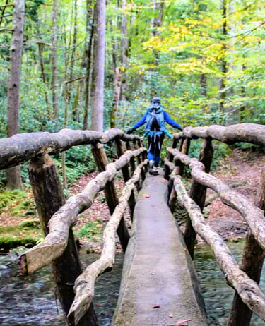 Great Smoky Mountains National Park