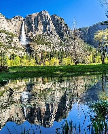 Yosemite National Park