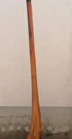 a didgeridoo leaning on a wall