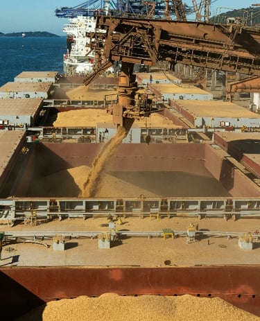Ports and marine uhmwpe sheet