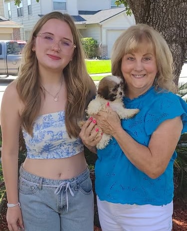 White and Brown mal-Shi Puppy being held 