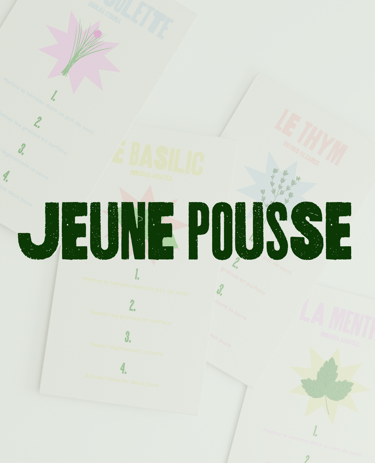 Jeune Pousse Illustration Direction Artistique Julianne Bouget graphiste freelance avec Panaco studio de design graphique 
