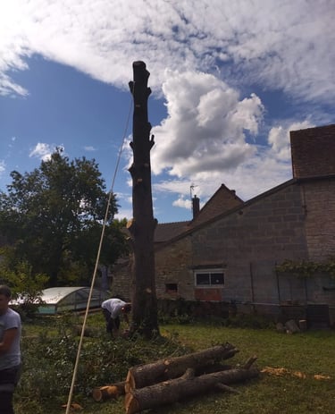 abattage délicat st gengoux le national