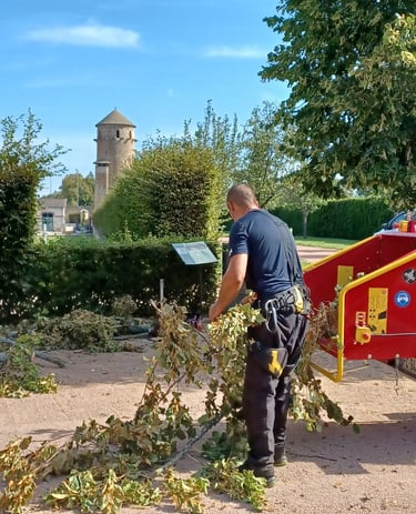 elagage apres tempête à cluny