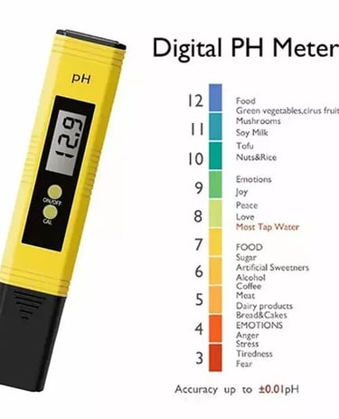 Digital pH meter