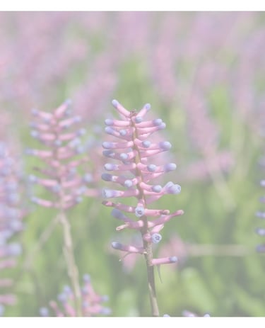 Picture of purple flowers with text "Facebook Support Group" over the top