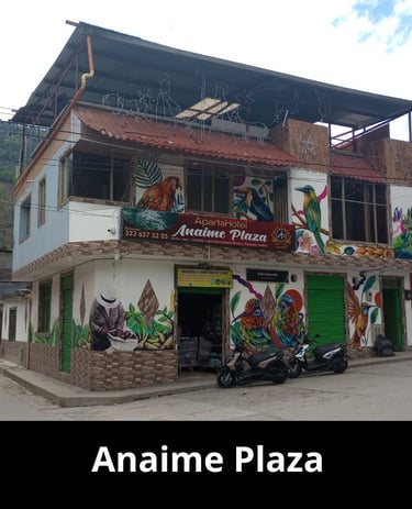 hotel Anaime Plaza, 