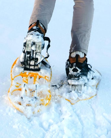 Raquetas de nieve