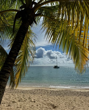 a sailboat is seen from the beach with palm trees