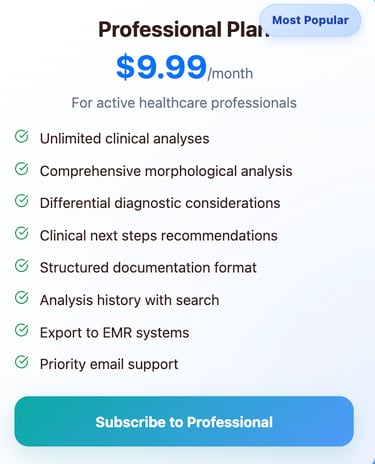 professional plan tier of derm describe app