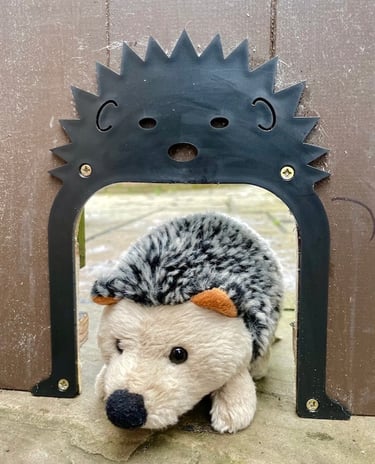Hedgehog highway