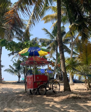 alleppey. beach