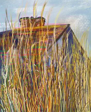 Digital drawing: Great Dixter digital diary. Winter light