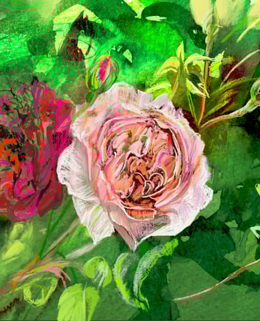 Rosa Munsted Wood and Wild Eve - digital drawing over watercolour