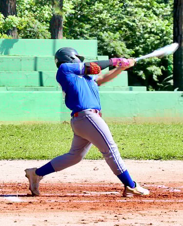 nippon blue jays batter