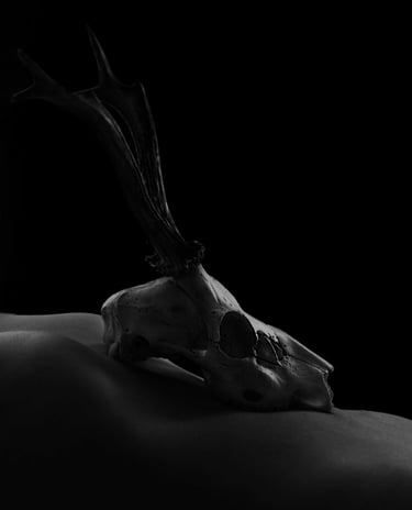 Anita Papp’s striking image of a deer skull, symbolizing the intersection of life, death, 