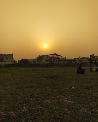 sunsets best picture