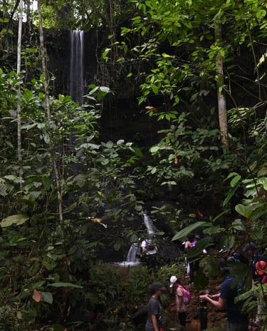 A group of hikers trekking through a lush green tropical rainforest toward a hidden waterfall.