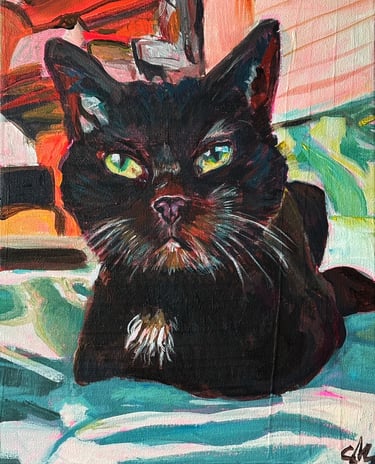 a black cat sitting on a bed with a blue and white blanket