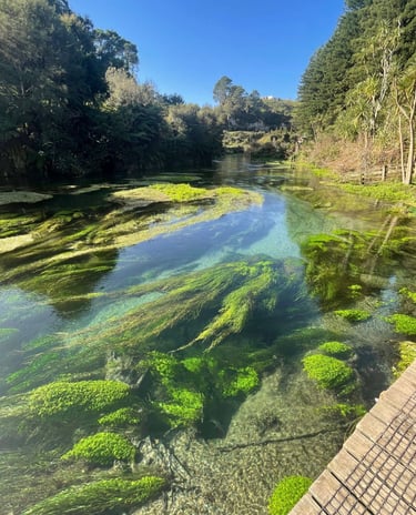 Agua cristalina en las Blue Springs de Nueva Zelanda