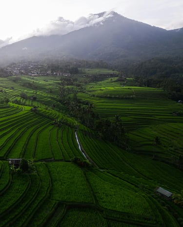 Photo of Jatiluwih Rice Terrace Bali Indonesia