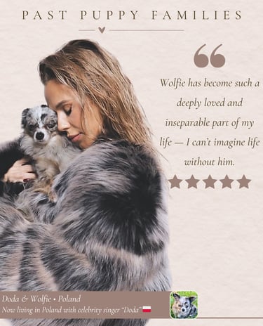 Petite Pups Reviews - Luxury Chihuahua Puppies - PetitePups.com