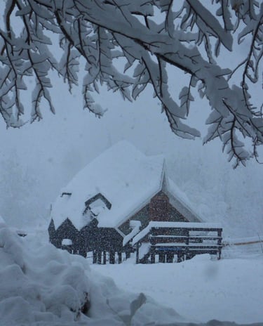 Domo nevado en Vitamonti