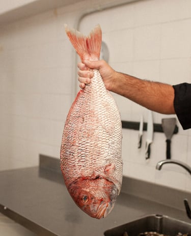 Pescado fresco para disfrutar entre amigos de un suculento plato de gastronomía de primer nivel    