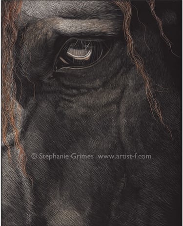 Detailed close-up of a dark horse's eye and face, showcasing its textured coat and expressive features, a stunning equine