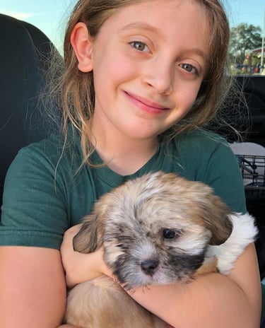 Perfect Paw Pups MalShi Family Adoption in Texas