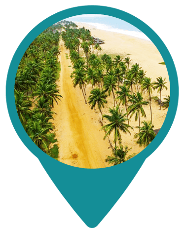 a beach with palm trees and a blue sky