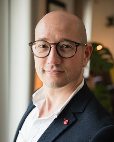 Laurent Maurel - CP2L conseil