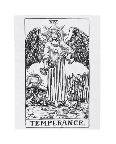 black and white temperance tarot blanket