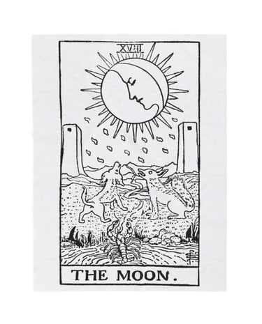 black and white the moon tarot blanket