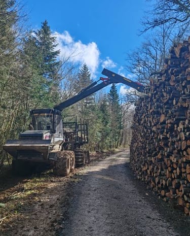 Exploitant forestier