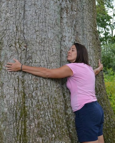 Awakened Stories Sue Greenwald