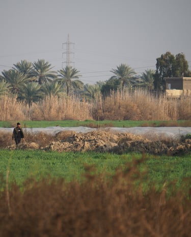 an Iraqi man waling in a green field with tall palm trees in the background