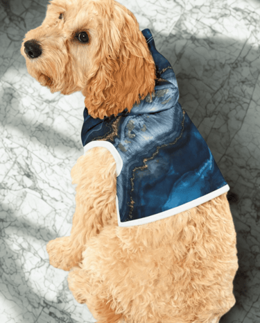 a dog wearing a blue hoodie