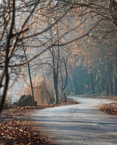 Small road on roadtrip